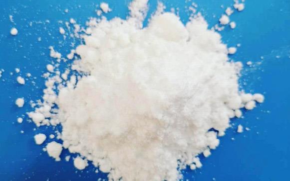 麻豆传播媒体APP大全免费版官网鈰銨應用